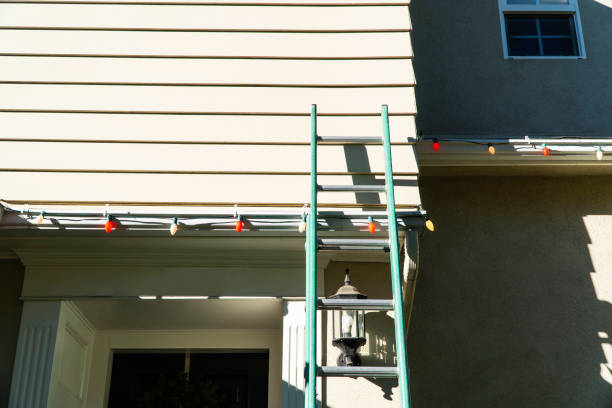 Best Stone Veneer Siding  in Annandale, VA