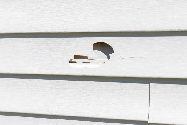 Best Brick Veneer Siding  in Annandale, VA