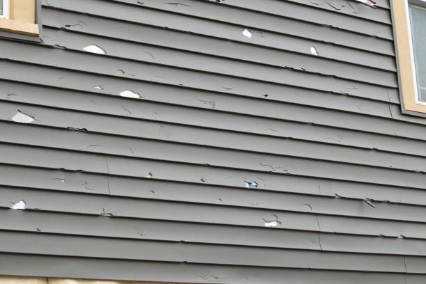 Best Storm Damage Siding Repair  in Annandale, VA